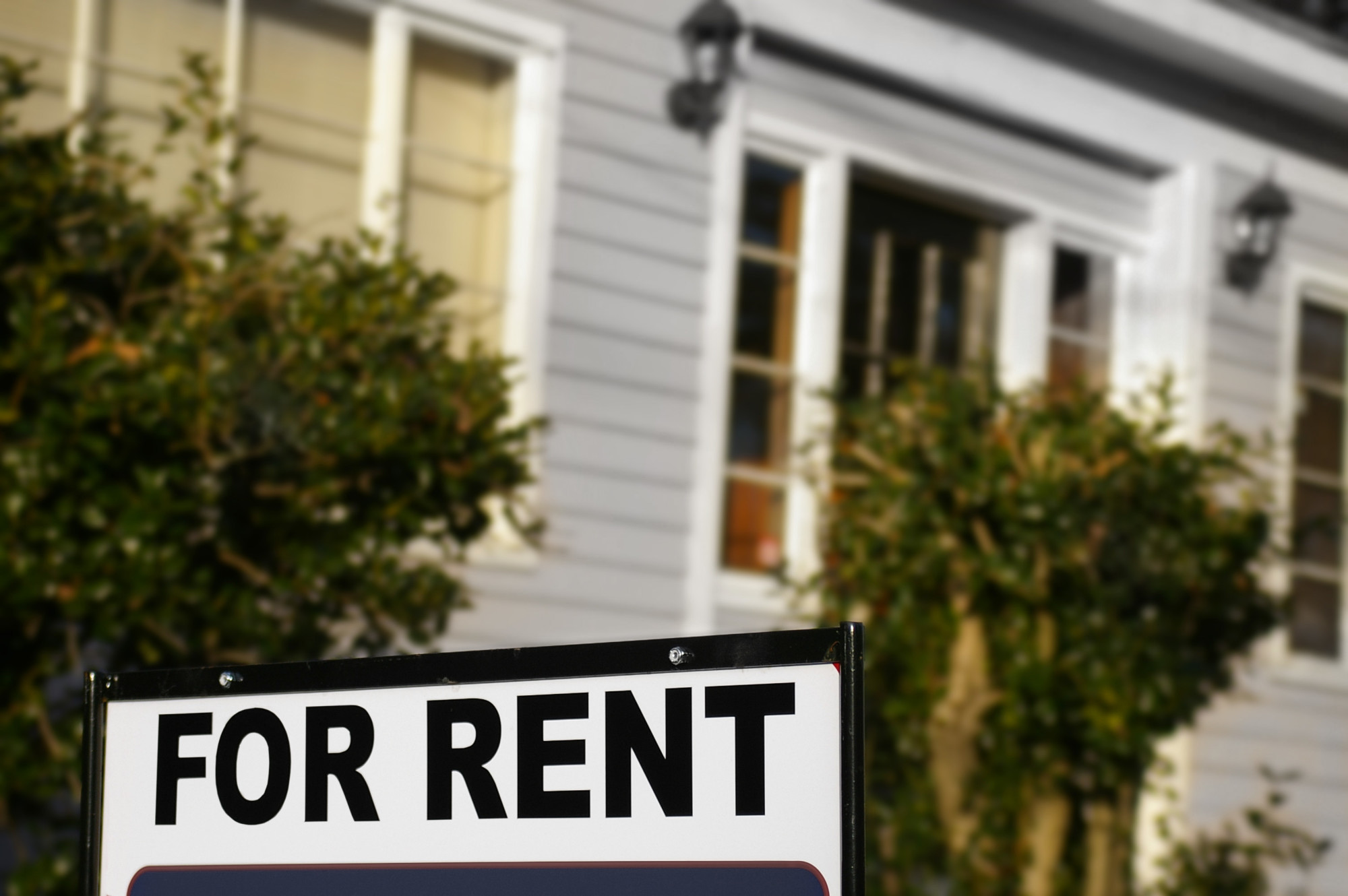 Rental Market Trends: The February Market Update